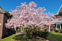 04-Horumersiel-Zentrum-02