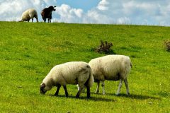 Horumersiel-Radtour-01b