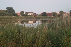 Horumersiel-Kolk-01