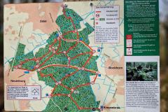 Neuenburg-Neuenburger_Urwald-03