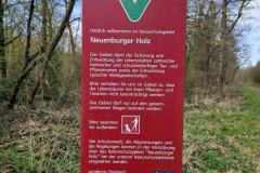 Neuenburg-Neuenburger_Urwald-03c