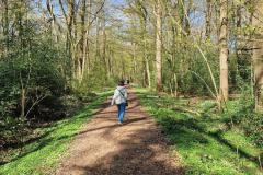 Neuenburg-Neuenburger_Urwald-05