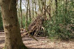 Neuenburg-Neuenburger_Urwald-10