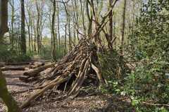 Neuenburg-Neuenburger_Urwald-11