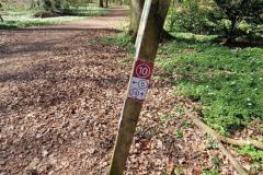 Neuenburg-Neuenburger_Urwald-20