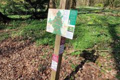 Neuenburg-Neuenburger_Urwald-21