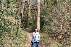 Neuenburg-Neuenburger_Urwald-27