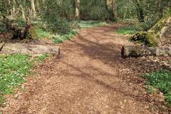 Neuenburg-Neuenburger_Urwald-30