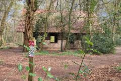 Neuenburg-Neuenburger_Urwald-47