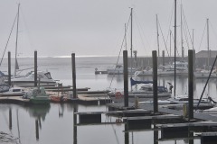 Horumersiel-Hafen-01